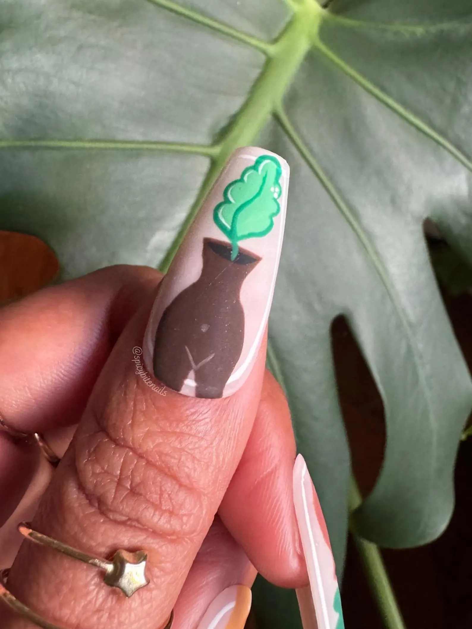 Rooted in Melanin - Black and Brown Women Plant Inspired False Press-On Nail Extensions 10pcs - Image 4