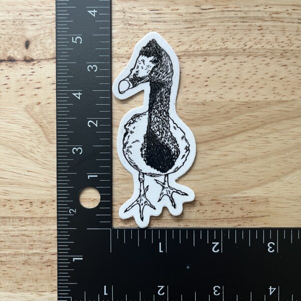 Magpie Goose Sticker – weatherproof adhesive, UV protective laminate