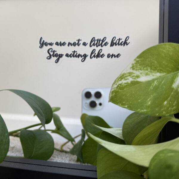 You are not a little bitch Stop acting like one – Motivational Mirror Cling Reusable Window Decal