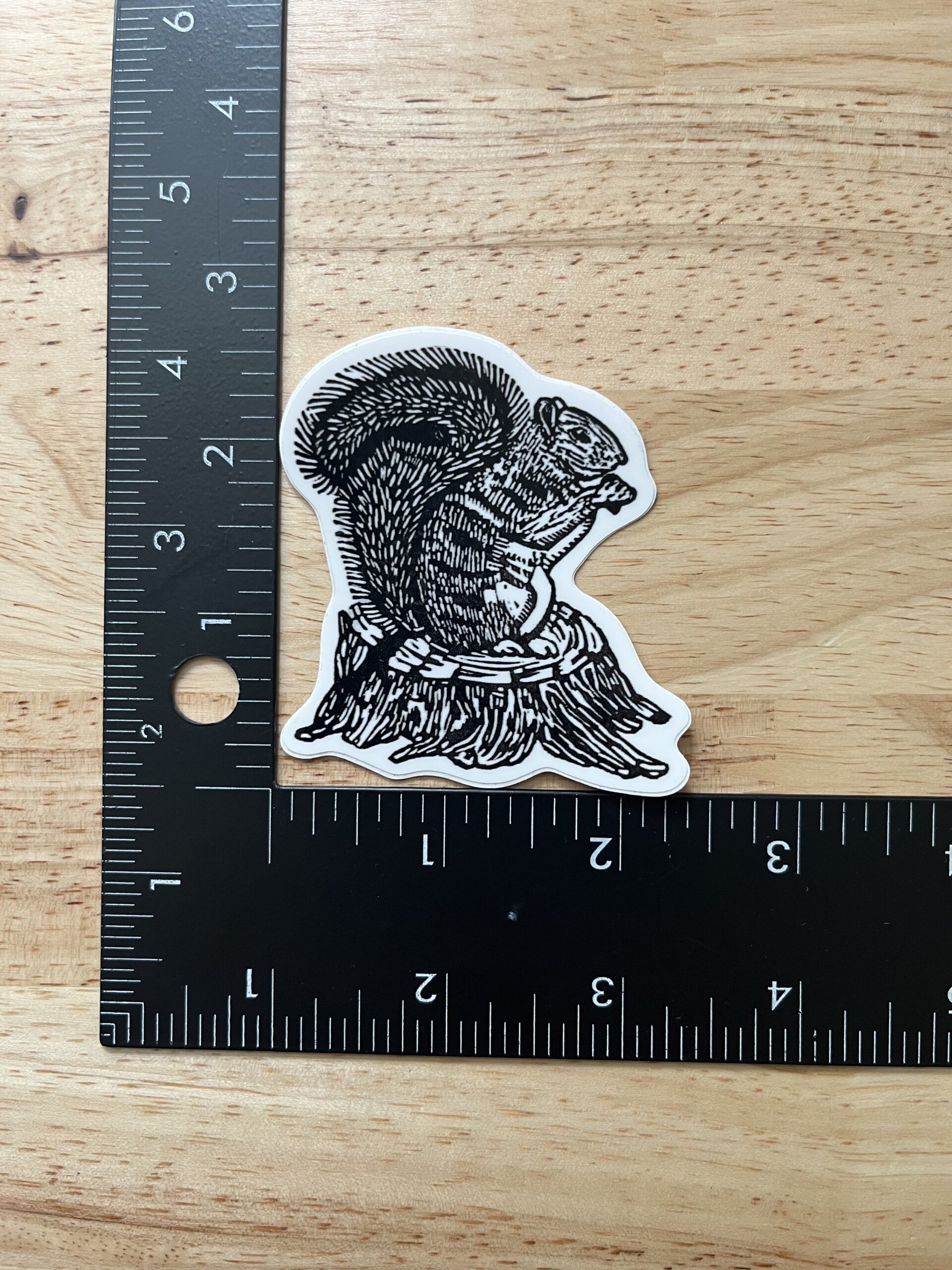 Squirrel Sticker - weatherproof adhesive, UV protective laminate - Image 2