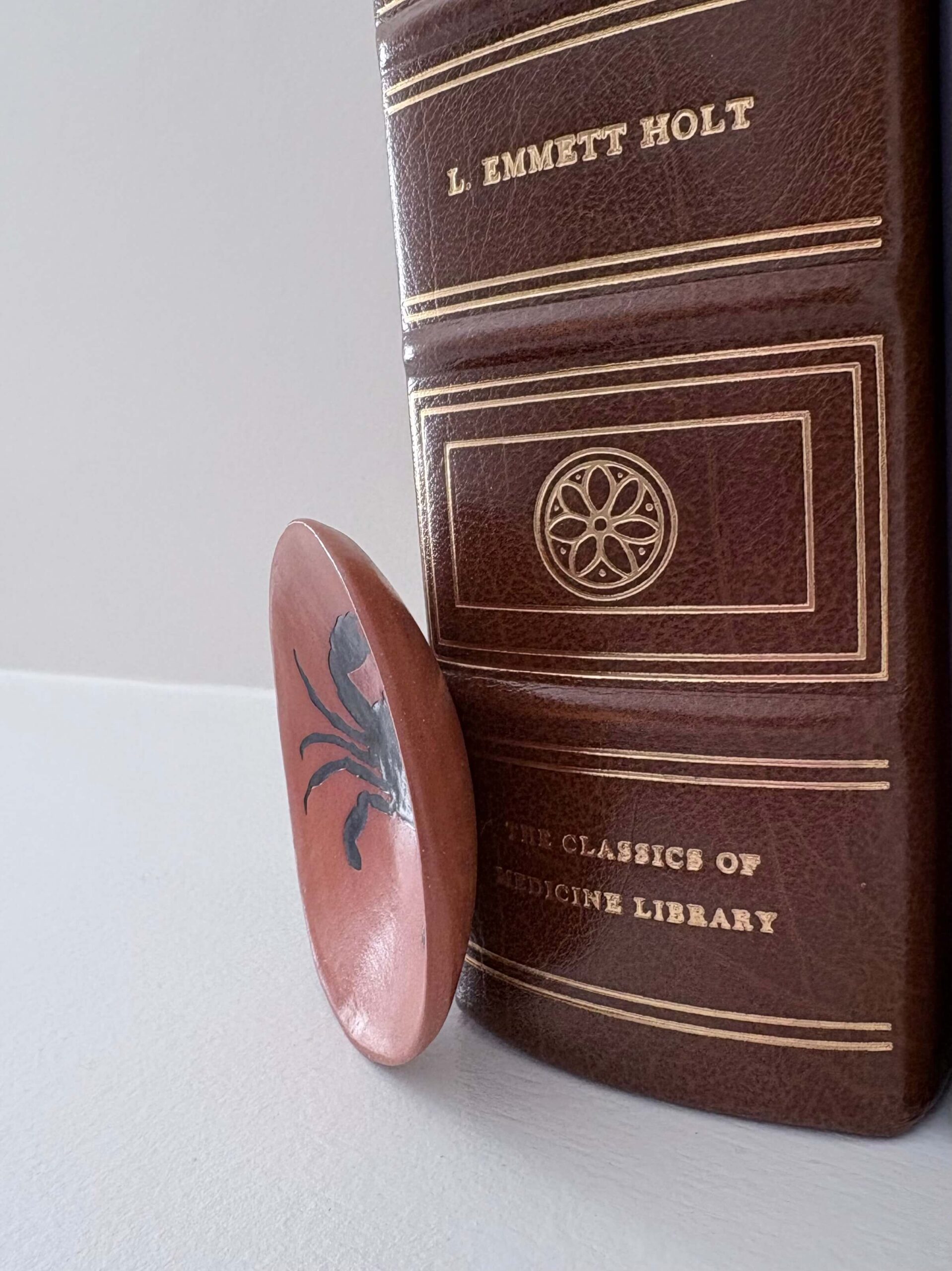 Crab Trinket bowl - Image 4