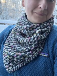 Crowberry Cowl