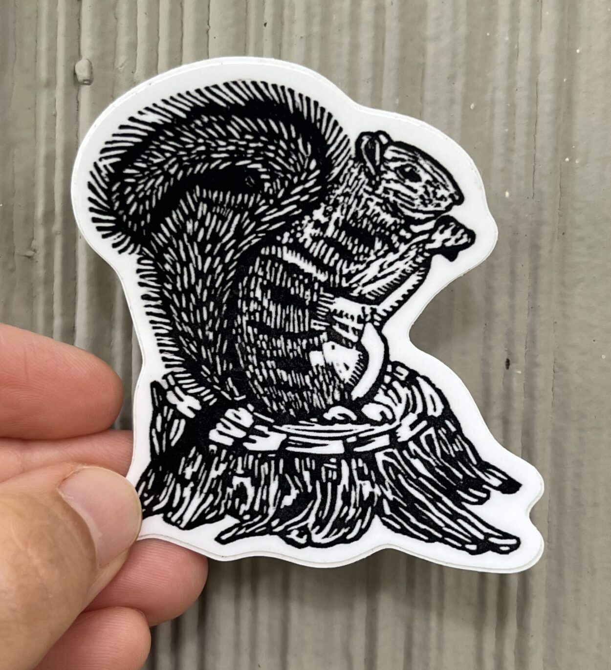 Squirrel Sticker - weatherproof adhesive, UV protective laminate