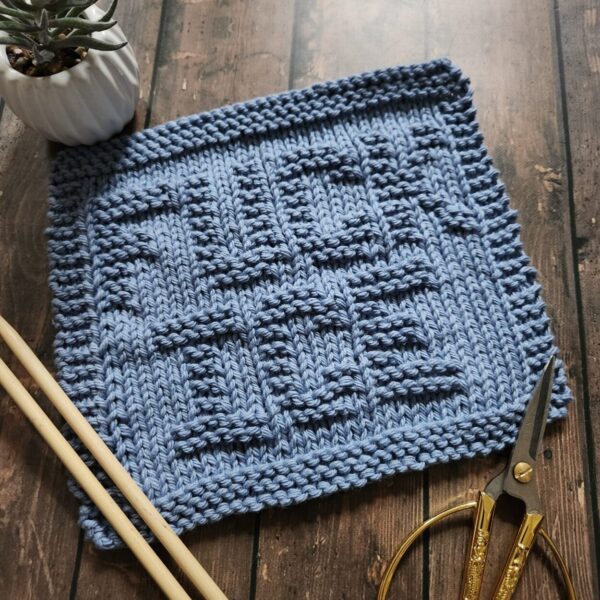 Fuck ICE Knit Dishcloth Pattern