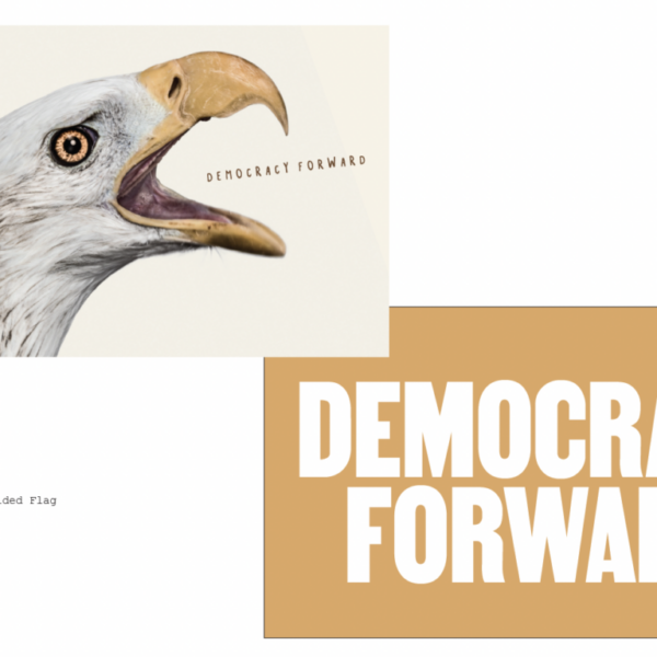 Democracy Forward + BS Records 5′ x 3′ Flag (Limited Edition)