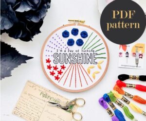 I'm a ray of fucking sunshine - Beginner Embroidery Stitch Sampler // Embroidery PDF Pattern Download 6 inch