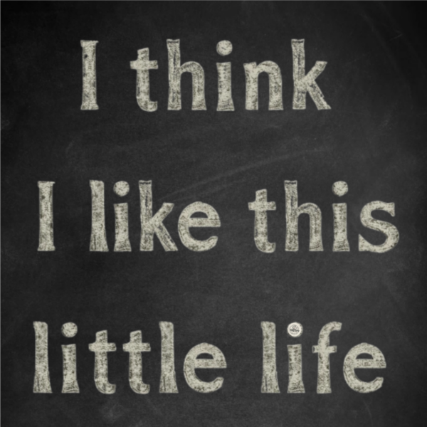 This Little Life Magnet