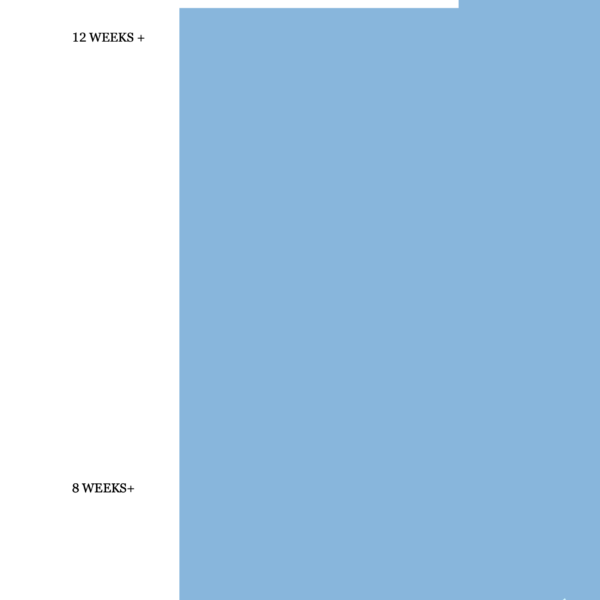 Holiday Checklists to Organize Celebrations – Digital Planner PDF for Stress-Free Holiday Planning