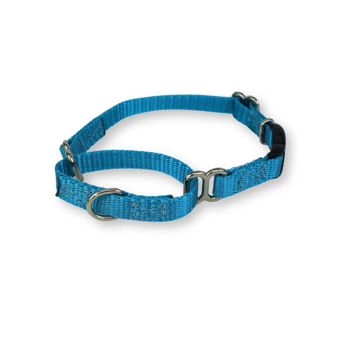 martingale collar with buckle for extra small dogs