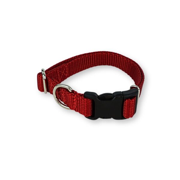 Collars for Small Dogs