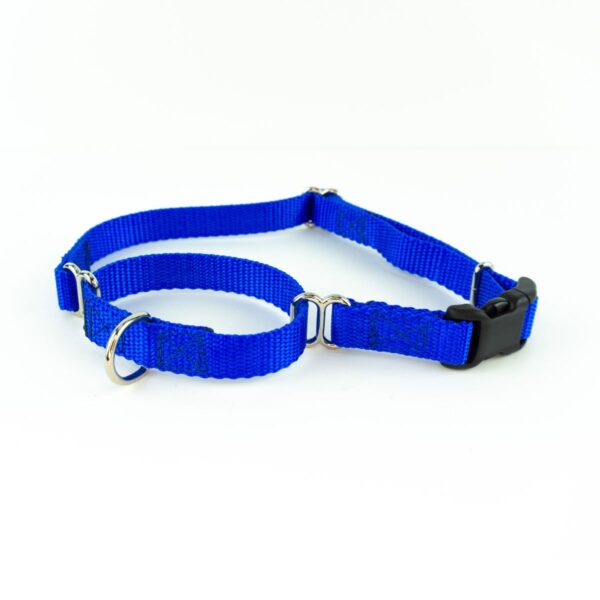 Collars for Small Dogs