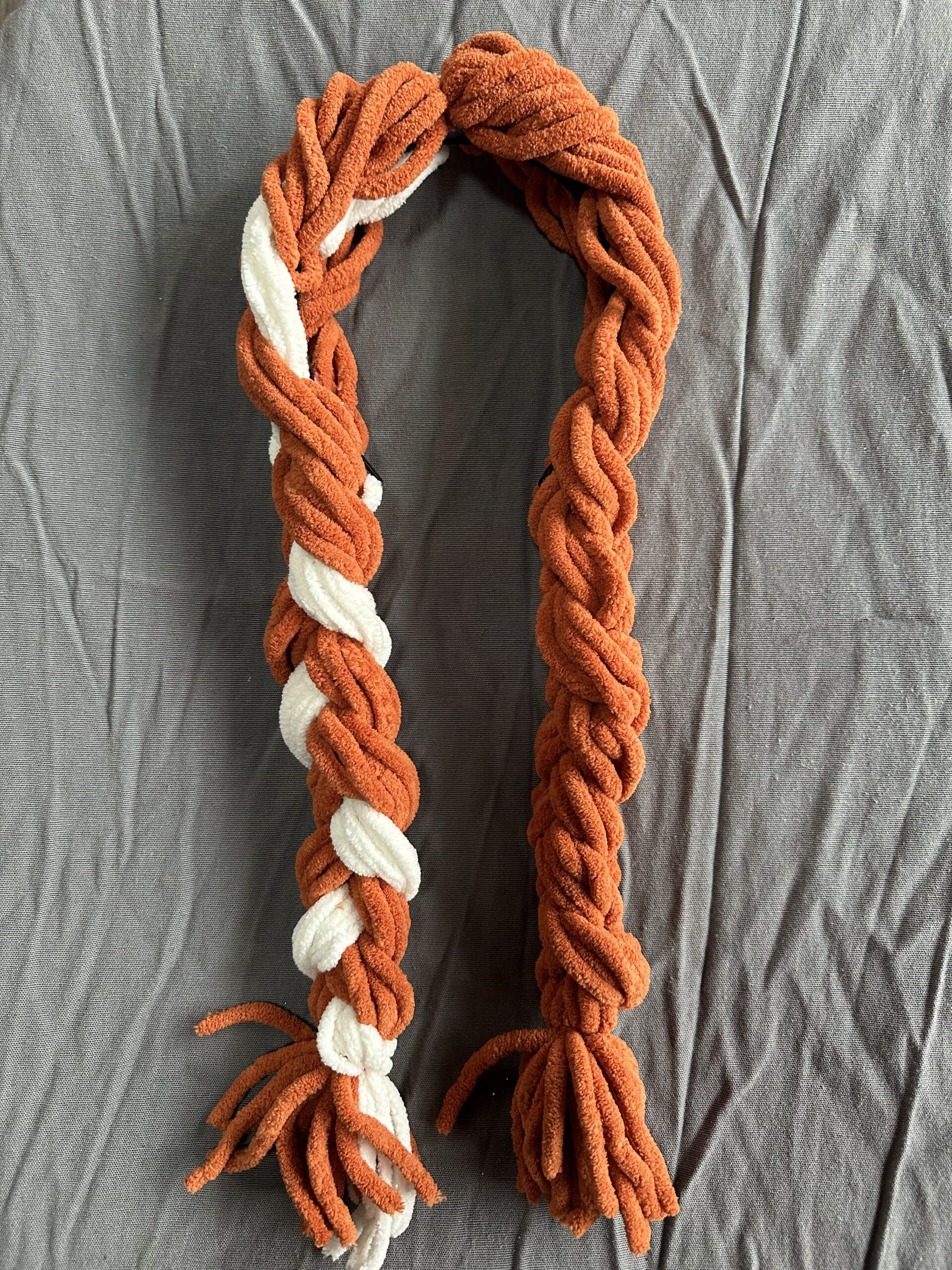 Ginger braided pigtails with a white streak in one pigtail.