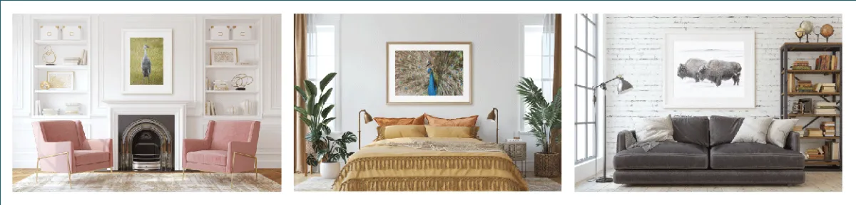 Jen Oseid Photography