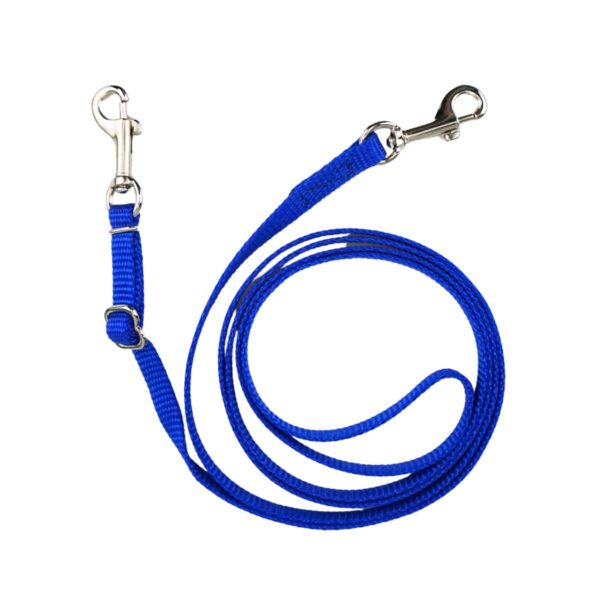 Hands Free Dog Leash for Extra Small Dogs