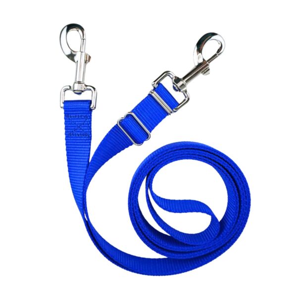 Hands Free Dog Leash for Medium – Large Dogs