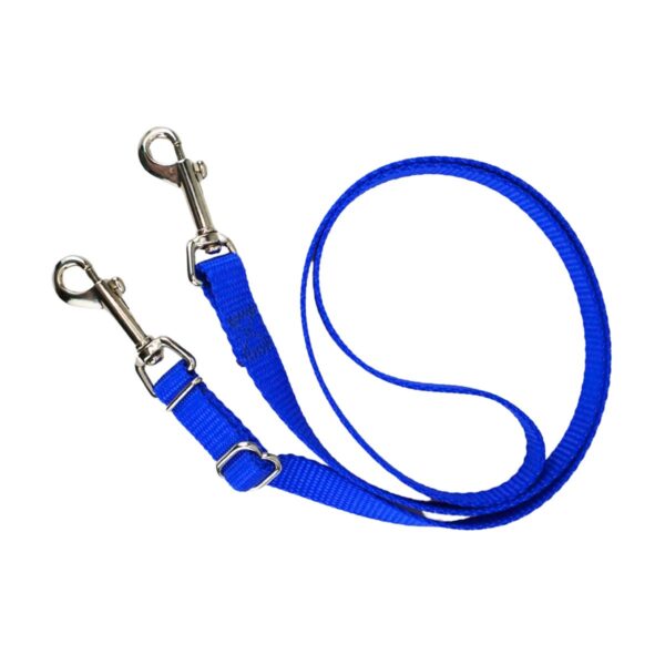 Hands Free Dog Leash for Small Dogs