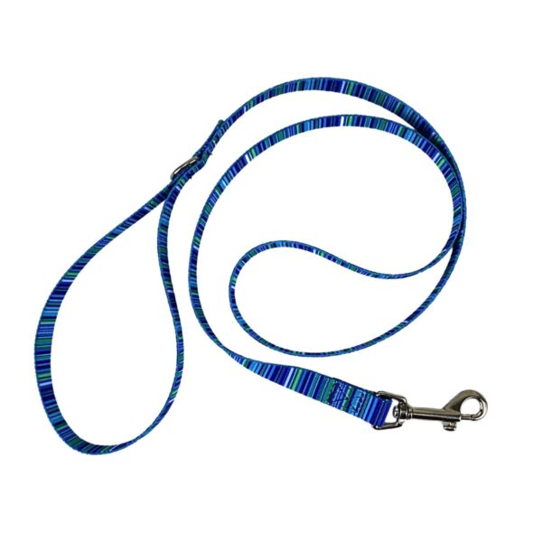 Dog Leash for Small Dogs