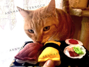 sushi cat toys