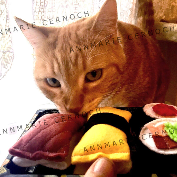 Sushi Cat Toys 6pk (Cali/Spicy Rolls)