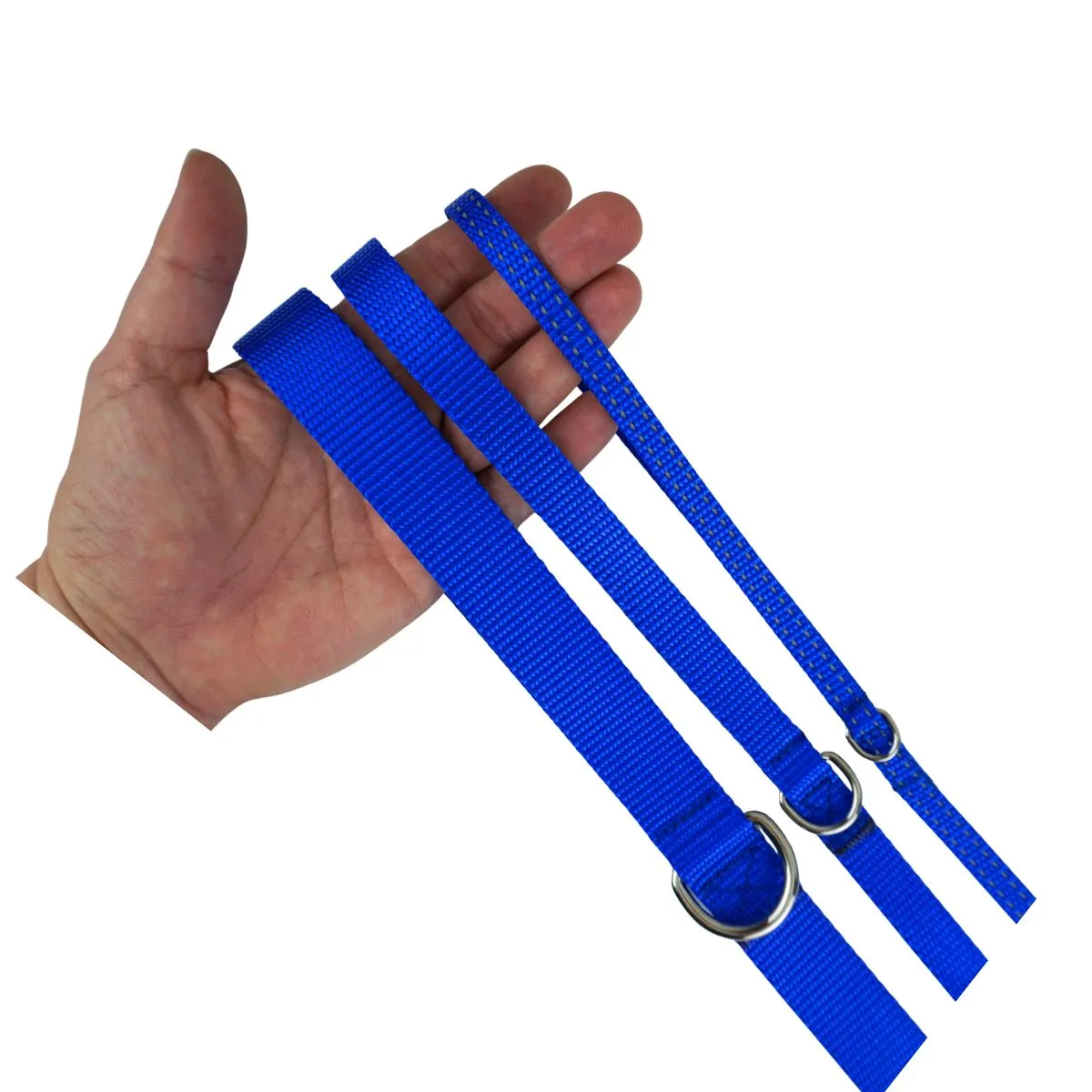 comparison between webbing sizes for dog leashes