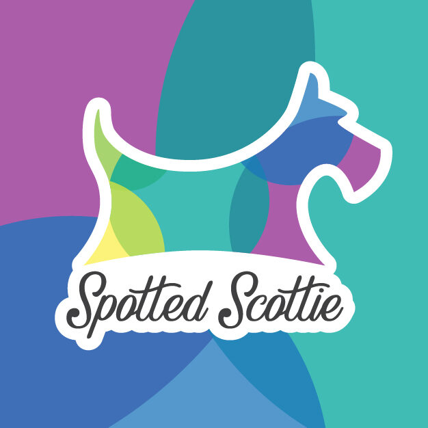 Spotted Scottie