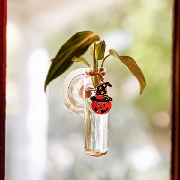 Prop Station – Witchy Pumpkin