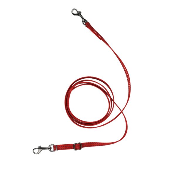 Hands Free Dog Leash for Extra Small Dogs