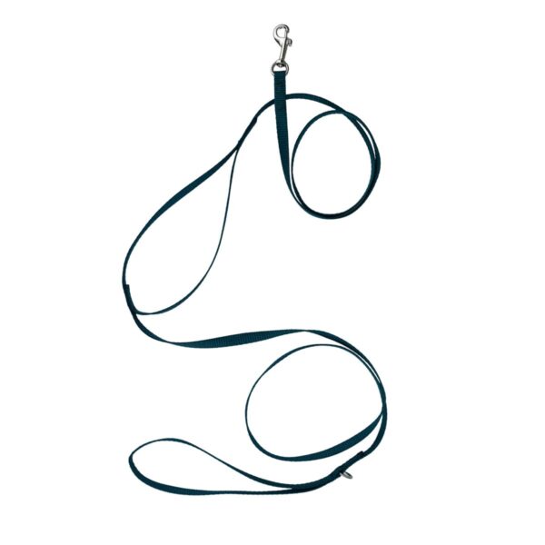 Dog Leash for Extra Small Dogs – Standard or Reflective