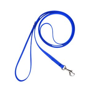 extra small dog loop handle leash