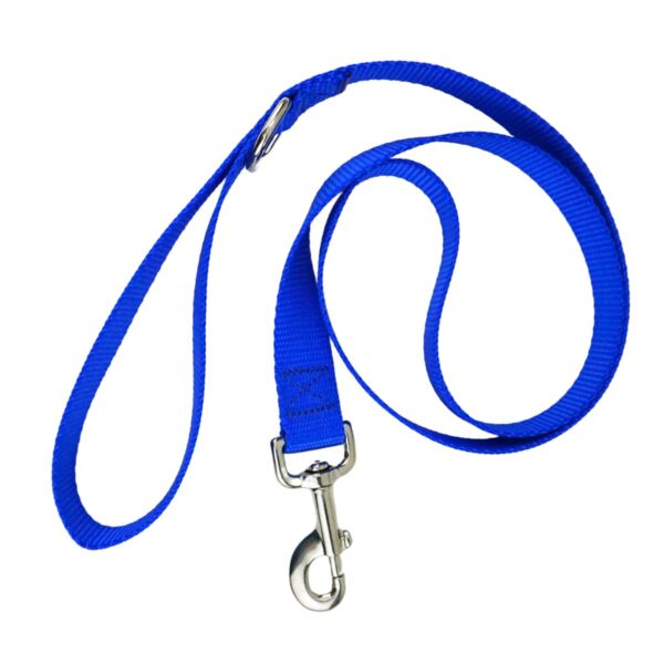 Dog Leash for Medium – Large Dogs