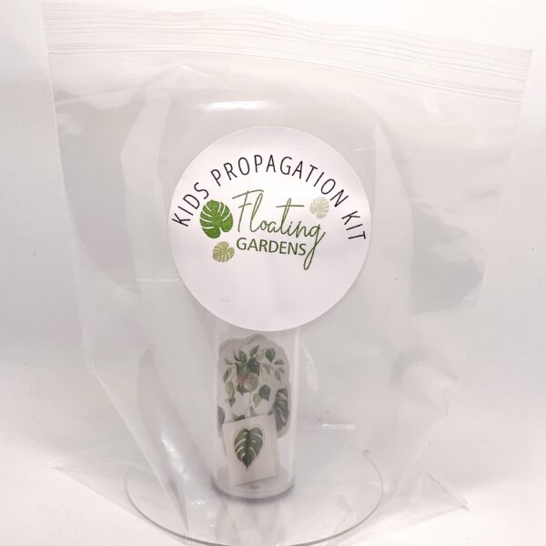 Kids Propagation Kit – Original