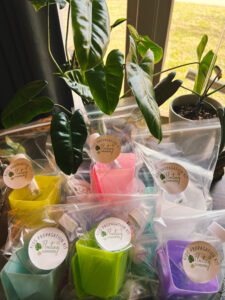 Kids Propagation Kit - Original