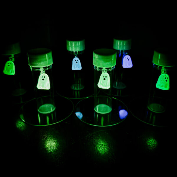 Kids Propagation Kit – Glow in the Dark Ghosts