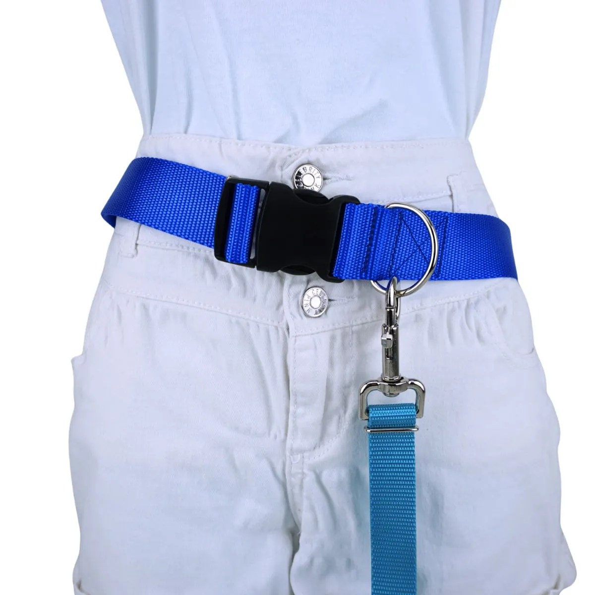 medium weight hands free leash belt with black plastic buckle in royal blue webbing.