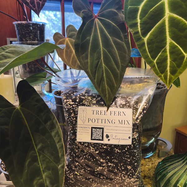 Tree Fern Potting Mix